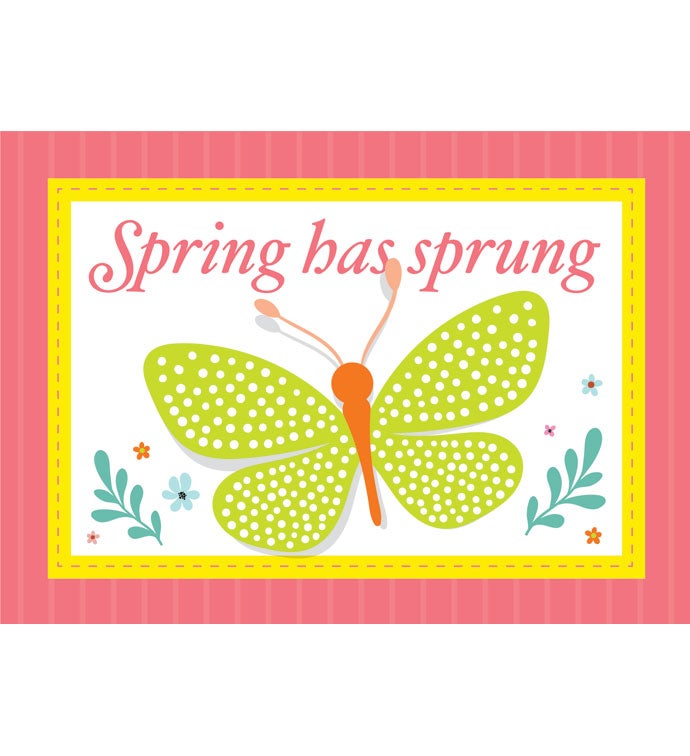 Tins With Pop® Spring Has Sprung Butterfly